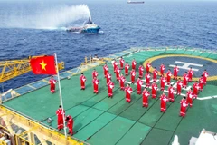 Đại hội Đảng bộ Tập đoàn Công nghiệp-Năng lượng Quốc gia Việt Nam lần thứ IV, nhiệm kỳ 2025-2030 sẽ diễn ra vào ngày 2/8-3/8. (Ảnh: PV/Vietnam+)