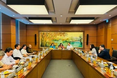 Đại biểu Quốc hội đoàn Hà Nội thảo luận ở tổ về cơ chế, chính sách đặc thù phát triển nhà ở xã hội. (Ảnh: Đức Duy/Vietnam+)