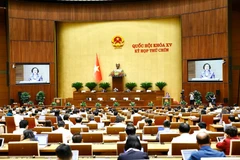 Quốc hội nghe Tờ trình và báo cáp thẩm tra về việc sắp xếp đơn vị hành chính cấp tỉnh năm 2025. (Ảnh: TTXVN)