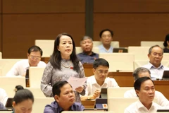 Các đại biểu thảo luận tại Kỳ họp thứ 9, Quốc hội khóa XV. (Ảnh: TTXVN)
