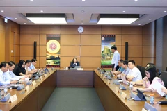 Quốc hội thảo luận ở tổ về phát triển kinh tế-xã hội những tháng đầu năm 2025. (Ảnh: TTXVN)