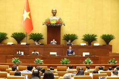 Quốc hội thảo luận tại hội trường. (Ảnh: TTXVN)