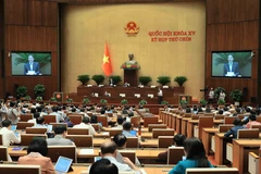 Phó Chủ tịch Quốc hội Nguyễn Đức Hải điều hành phiên họp. (Ảnh: An Đăng/TTXVN)