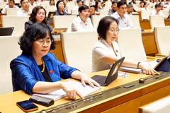Các đại biểu Quốc hội biểu quyết thông qua các dự án luật tại Kỳ họp thứ 9. (Ảnh: TTXVN) 