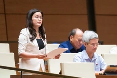 Các đại biểu thảo luận tại hội trường về các dự án luật. (Ảnh: TTXVN)