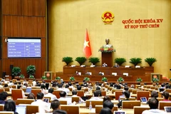 Quốc hội biểu quyết thông qua Nghị quyết của Quốc hội về ngày bầu cử toàn quốc đối với bầu cử đại biểu Quốc hội khoá XVI và đại biểu Hội đồng nhân dân các cấp nhiệm kỳ 2026-2031. (Ảnh: TTXVN)