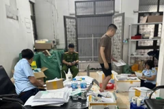 Lực lượng chức năng kiểm tra mỹ phẩm tại Hà Nội. (Ảnh: PV/Vietnam+)