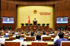 Quốc hội thảo luận về Luật Chất lượng sản phẩm, hàng hóa. (Ảnh: TTXVN)