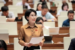 Các đại biểu Quốc hội thảo luận tại hội trường về dự án Luật Thanh tra (sửa đổi). (Ảnh: TTXVN)