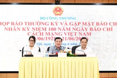 Thứ trưởng Nguyễn Sinh Nhật Tân chủ trì họp báo thường kỳ của Bộ Công Thương. (Ảnh: PV/Vietnam+)