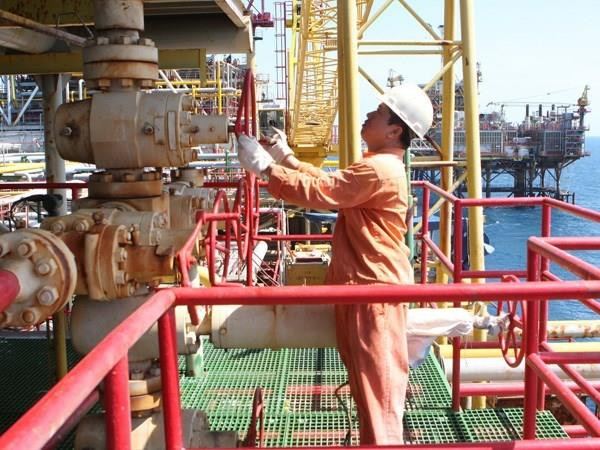 Ảnh minh họa. (Nguồn: TTXVN)