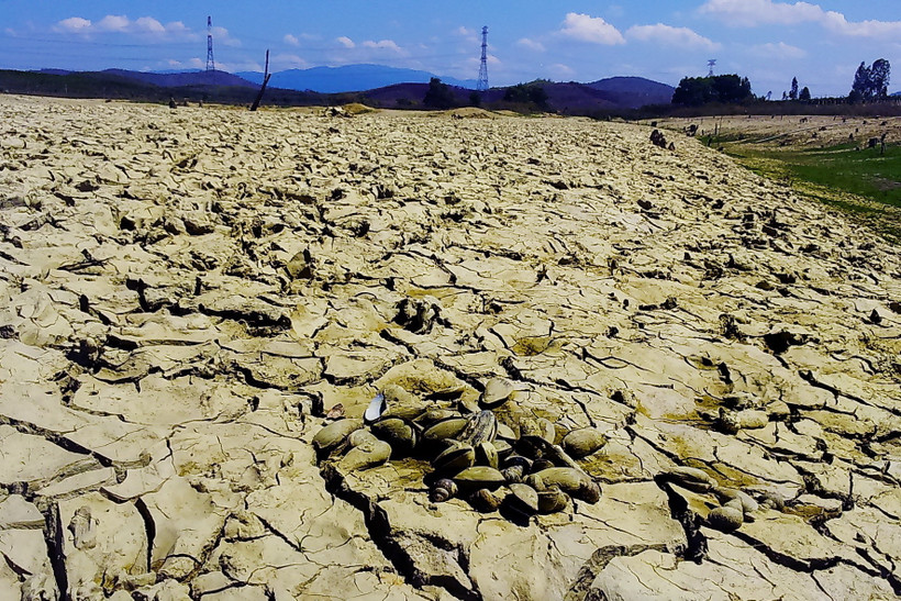 Nắng nóng, khô hạn khiến các hồ chứa tại Bình Thuận cạn trơ đáy. (Ảnh: Nguyễn Thanh/TTXVN)