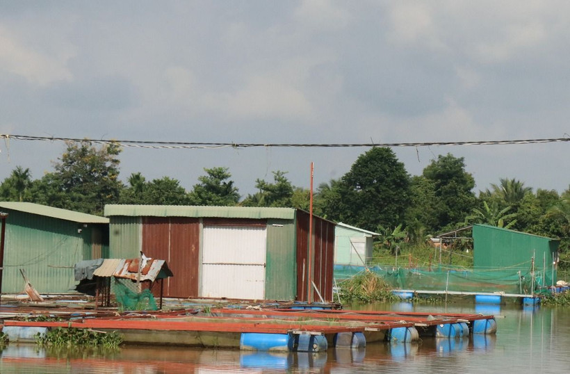 Vị trí nuôi cá lồng bè ở buôn Ea Tung, xã Ea Na, huyện Krông Ana nằm hoàn toàn trong phạm vi lòng hồ thuỷ điện Buôn Kuốp. (Ảnh: Tuấn Anh/TTXVN)