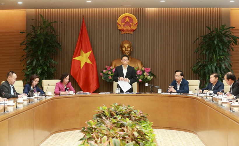 Phó Thủ tướng Vũ Đức Đam phát biểu. (Ảnh: Doãn Tấn/TTXVN)