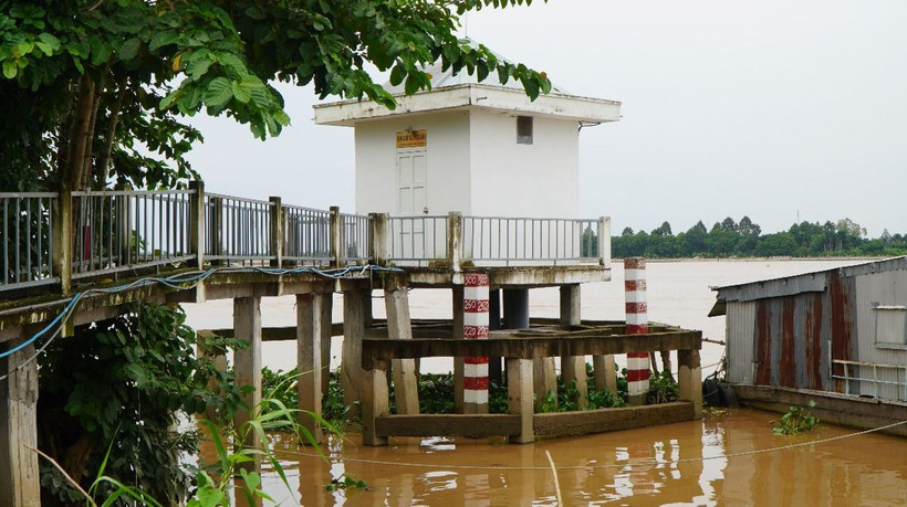 Mực nước sông Tiền (qua địa bàn tỉnh Đồng Tháp) đang lên nhanh. (Ảnh: Nhựt An/TTXVN)