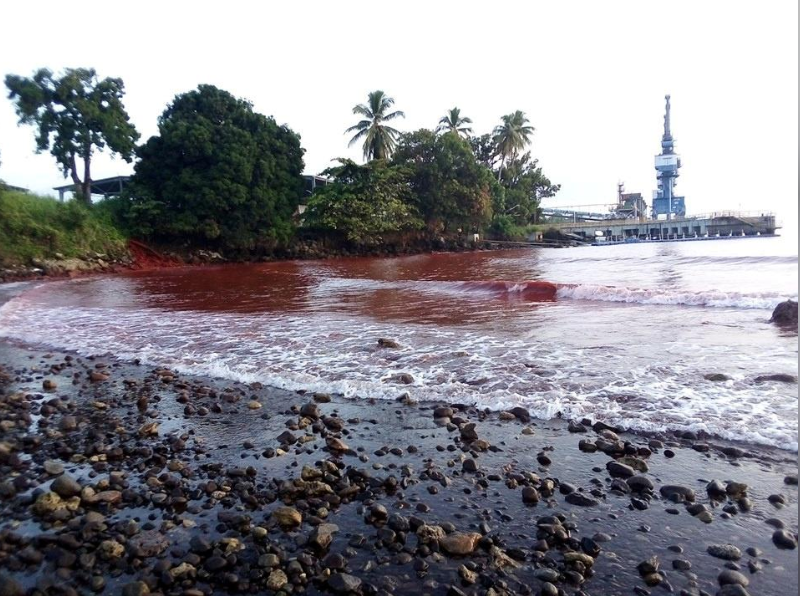 Bùn tràn gây ô nhiễm ở tỉnh Madang, Papua New Guinea, làm nhuộm đỏ nước biển và khu vực ven bờ. (Nguồn: google)