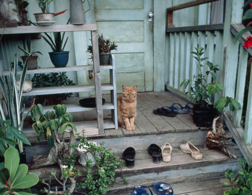 Nghiên cứu cho thấy để giày ngoài thềm cửa (như ngôi nhà này ở Hawaii) có thể hạn chế bụi và những chất độc như chì xâm nhập nơi ở của bạn. (Nguồn: National Geographic)
