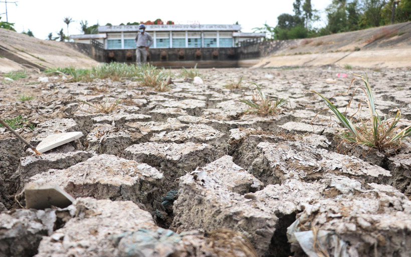 Lòng kênh trạm bơm Bình Phan (Tiền Giang) đã cạn khô, nứt nẻ do không lấy được nước ngọt. (Nguồn: TTXVN)