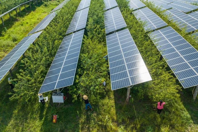 Xác định quy mô của hệ thống (Ảnh: AFP/TTXVN)