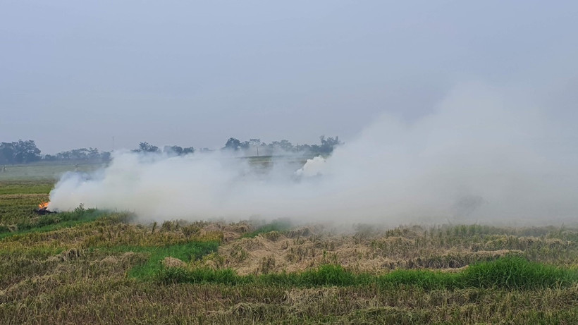 Ảnh minh họa. (Ảnh: Nguyễn Trọng Lịch/TTXVN)