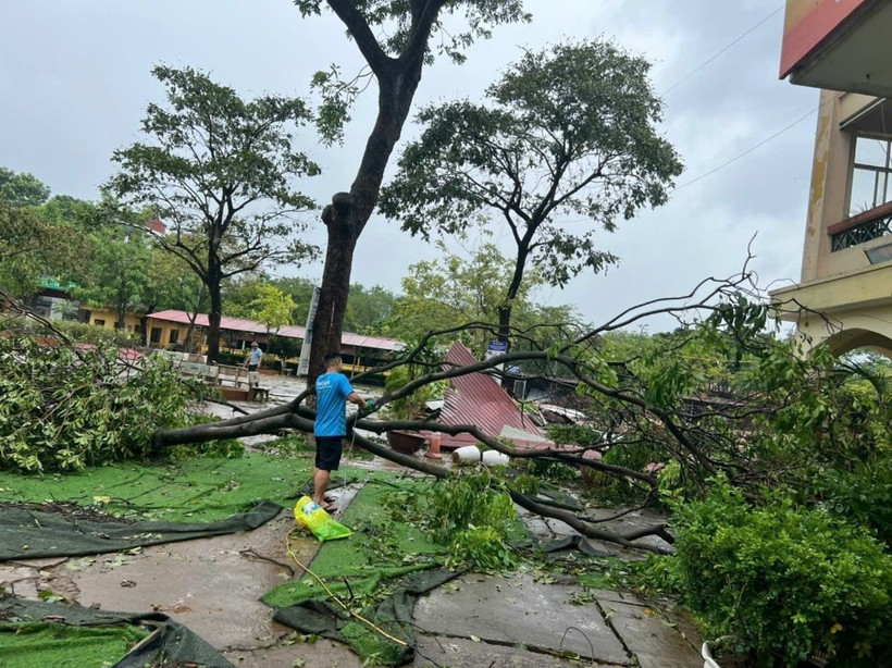 Trường Trung học Phổ thông Lý Thường Kiệt (quận Long Biên) bị thiệt hại nặng nề khi gãy đổ hơn chục cây xanh. (Ảnh: TTXVN phát)