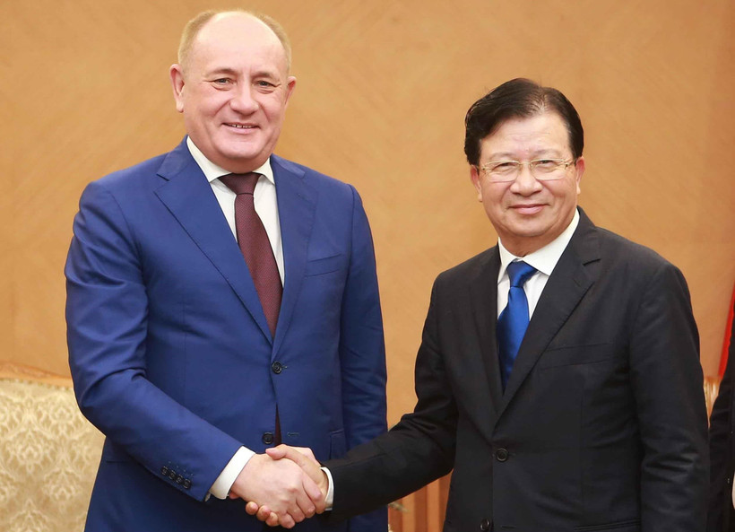 Phó Thủ tướng Chính phủ Trịnh Đình Dũng tiếp ông Markelov V.A, Phó Chủ tịch Hội đồng quản trị Tập đoàn Gaz prom (liên bang Nga). (Ảnh: Doãn Tấn/TTXVN) 