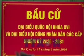 Không khí phấn khởi trong ngày bầu cử ở “Ngã ba Đông Dương”