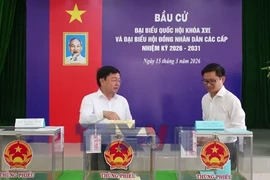 Cử tri Tây Ninh nô nức tham gia bầu cử, xây dựng đất nước 
