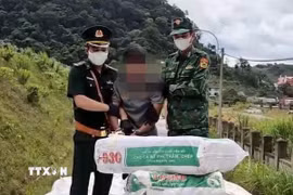 (Ảnh minh họa. TTXVN phát)