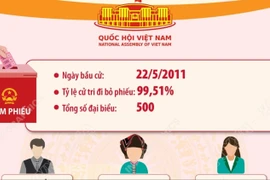 Kết quả bầu cử đại biểu Quốc hội khóa XIII