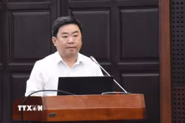 Ông Trần Trung Sơn, Phó Giám đốc Sở Nội vụ, Ủy viên Ủy ban bầu cử thành phố Đà Nẵng phát biểu tại Hội nghị. (Ảnh: Quốc Dũng/TTXVN)
