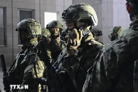 Binh sỹ Hàn Quốc. (Ảnh: Kyodo/TTXVN)