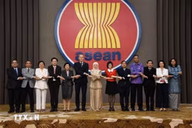 Đại diện các nước thành viên ASEAN và New Zealand dự cuộc họp Ủy ban hợp tác chung lần thứ 12. (Ảnh: TTXVN phát)