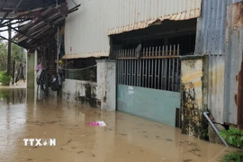 Nhiều nhà dân ở phường Quy Nhơn Đông, Gia Lai bị ngập từ 0,5-1,5m. (Ảnh: Sỹ Thắng/TTXVN)