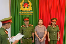 Công an Thành phố Hồ Chí Minh ra quyết định khởi tố đối tượng Đỗ Hồng Trinh. (Ảnh: TTXVN phát)