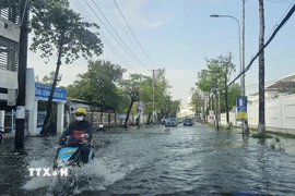 Ngập nặng trên nhiều tuyến đường tại khu vực trung tâm hành chính tỉnh Cà Mau. (Ảnh: Trung Hiếu/TTXVN)