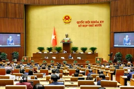 Quốc hội làm việc tại hội trường. (Ảnh: Doãn Tấn/TTXVN)