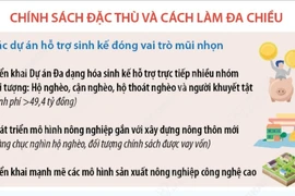 Hà Nội: Hình mẫu trong thực hiện mục tiêu giảm nghèo bền vững