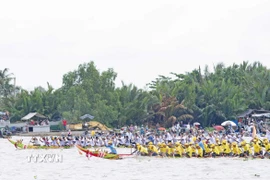 Đua ghe ngo truyền thống, một trong những hoạt động thể thao hấp dẫn của đồng bào dân tộc Khmer tỉnh An Giang được tổ chức vào dịp lễ hội Ok Om Boc hằng năm. (Ảnh: Công Mạo/TTXVN)