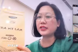 Chị Nguyễn Thiệp, đại diện công ty chè Mỹ Lâm, giới thiệu sản phẩm với các doanh nghiệp Algeria và Sénégal. (Ảnh: Mạnh Hùng/TTXVN)