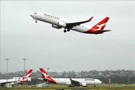 Máy bay của hãng hàng không Qantas tại sân bay Sydney, Australia. (Ảnh: AFP/TTXVN)