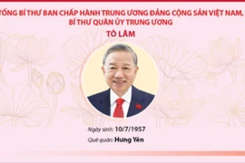 19 đồng chí Ủy viên Bộ Chính trị khóa XIV