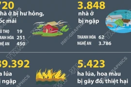 Thiệt hại do ảnh hưởng của bão số 3 và mưa lũ
