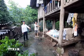 Do ảnh hưởng của mưa lớn kéo dài, nhiều vị trí trong khu nhà ở của gia đình anh Quàng Văn Học, bản Nặm Păm, xã Mường La bị sụt lún, xuất hiện các nứt có mguy cơ cao mất an toàn. (Ảnh: Quang Quyết/TTXVN)
