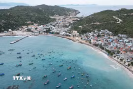 Đảo Cù Lao Xanh (xã Nhơn Châu, tỉnh Gia Lai), một trong những đảo tiền tiêu của miền Trung từng bước phát triển du lịch gắn với kinh tế biển. (Ảnh: Xuân Quý/TTXVN)