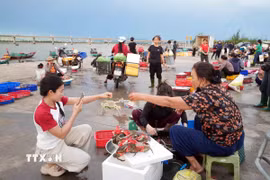 Bến cá nhộn nhịp vào mỗi buổi sáng là chất liệu quen thuộc trong các video quảng bá địa phương. (Ảnh: Hữu Quyết/TTXVN)