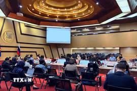 Quang cảnh cuộc họp lần thứ 24 Ủy ban Hợp tác chung cấp Đại sứ giữa ASEAN và Nga. (Ảnh: TTXVN phát)