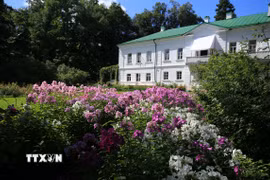 Vườn hoa nhiều màu sắc sau nhà Lev Tolstoi. (Ảnh: Văn Hiếu/TTXVN)