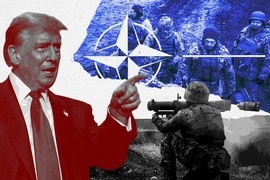 8 quốc gia châu Âu phản đối Mỹ áp thuế nhằm kiểm soát Greenland