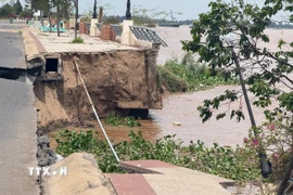 Hiện trường điểm sạt lở Kè Thường Thới Tiền (thuộc xã Thường Phước, tỉnh Đồng Tháp) vào trưa ngày 12/8/2025. (Ảnh: TTXVN phát)